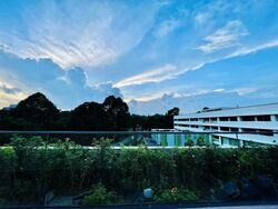 Orchard Sophia (D9), Apartment #595843601